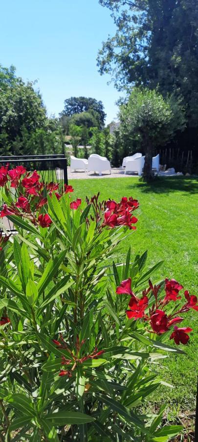 Villa Destiny Nedescina, Istrien, Kroatien Exteriör bild